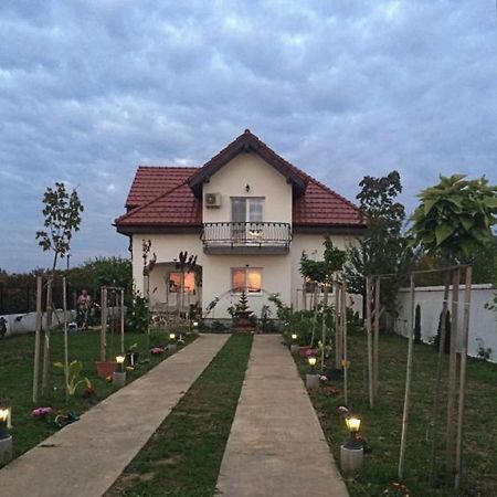 Blue Sky House Hotel Balotesti Bagian luar foto
