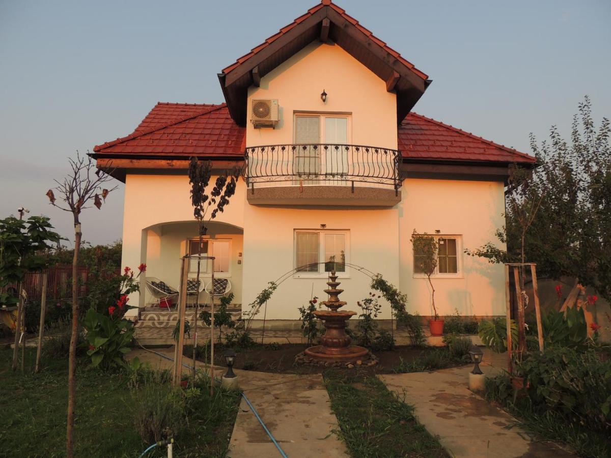 Blue Sky House Hotel Balotesti Bagian luar foto