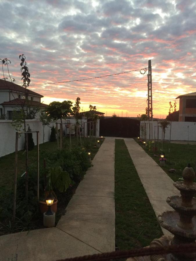 Blue Sky House Hotel Balotesti Bagian luar foto
